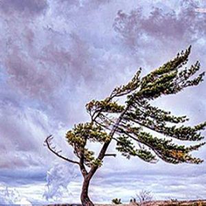 chto-takoe-vozdushnij-potok-i-kakie-osnovnie-ponyatiya-s-nim-svyazanipublic-welfare.com