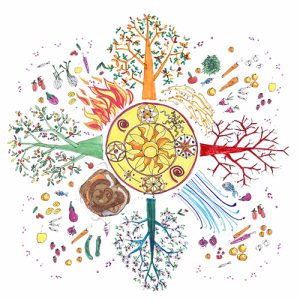mandala alimentazione ayurvedica